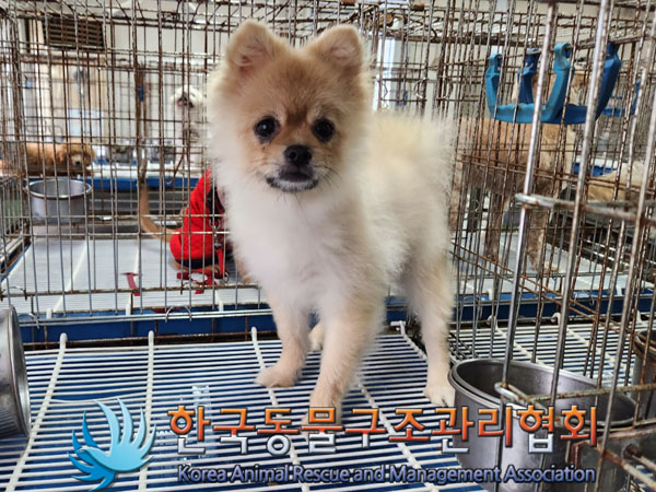 한국동물구조관리협회_411306202300753